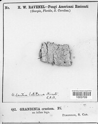 Image Associated With the Occurence
